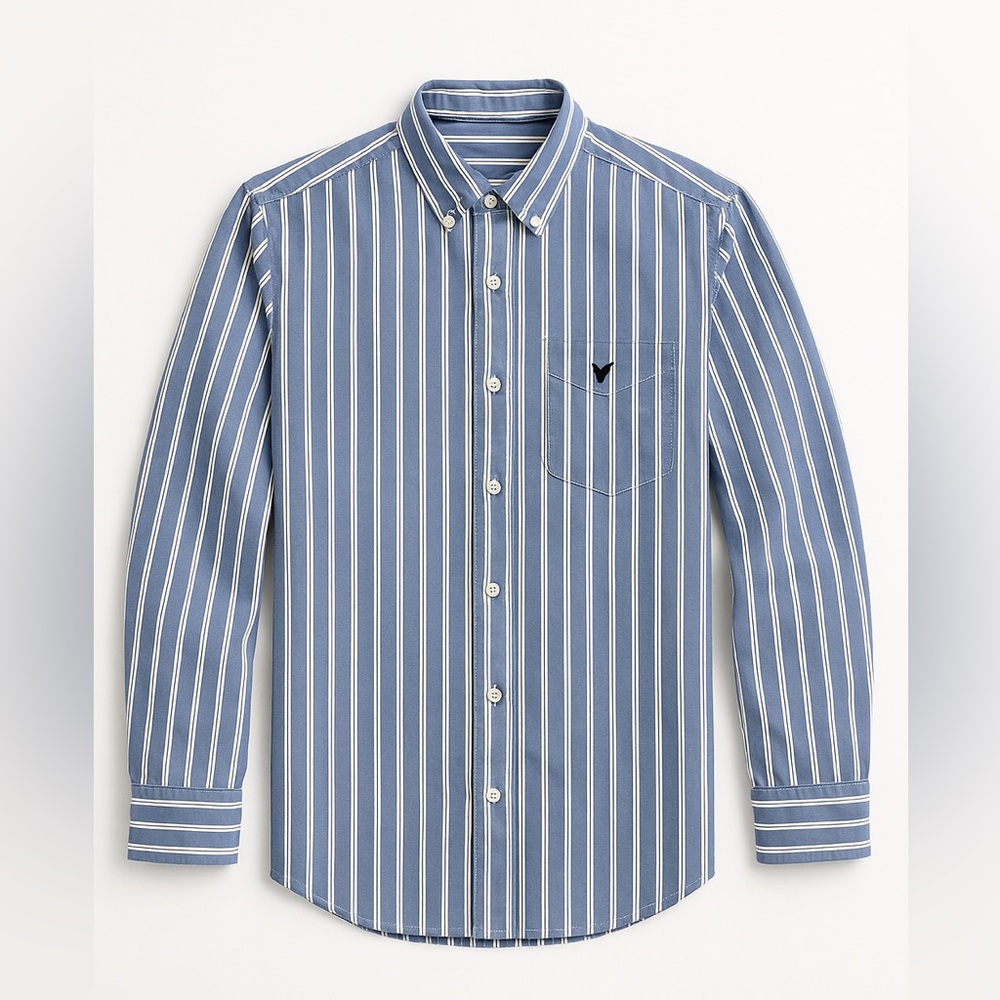 American Eagle Outfitters Blue and White Striped Shirt